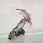 Hummingbird Hummingbird