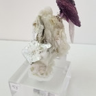 Hummingbird Hummingbird