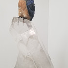 Kingfisher Kingfisher