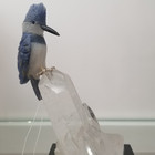 Kingfisher Kingfisher