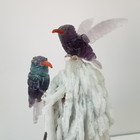 Hummingbirds Hummingbirds